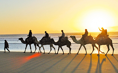 Destination Surf Maroc